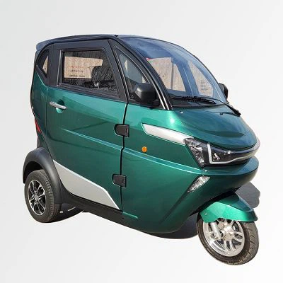 Adult Fast Electric Car EV 3kw