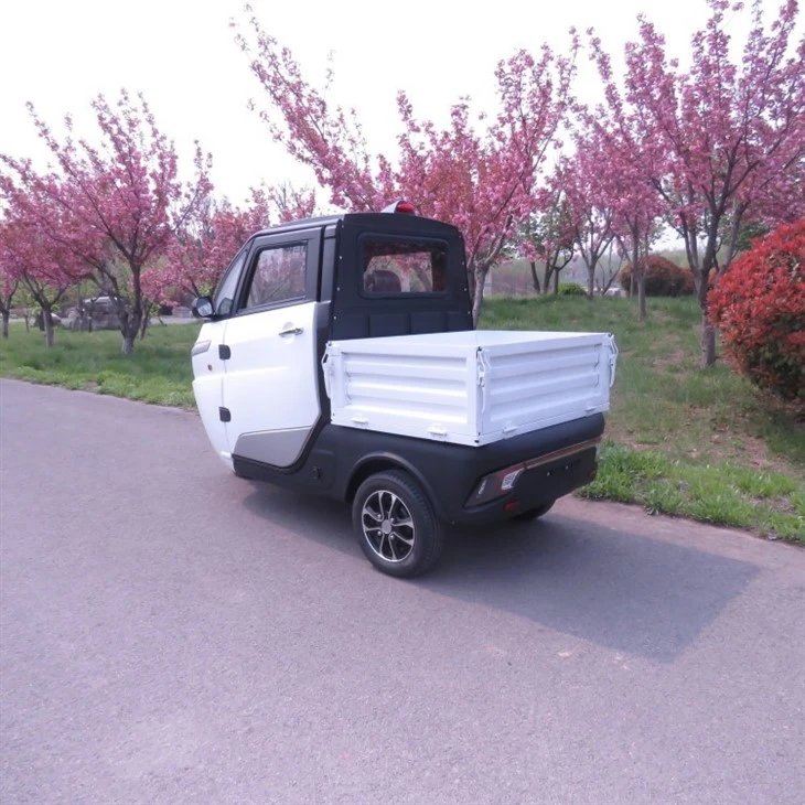 All Weather Closed Tricycle Motorcycle Electric Tricycles Passenger For Adult With Folding Cargo Box