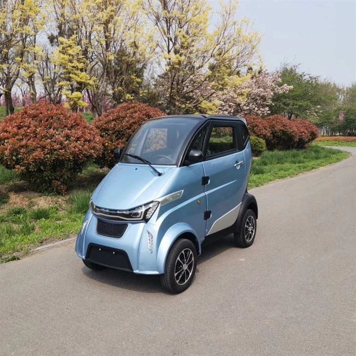 Low Price L6e EU Certification Mini Electric Passenger Car